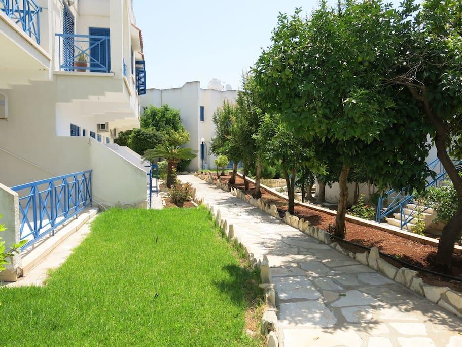 Dhekelia Diamond Daire Larnaca Dış mekan fotoğraf
